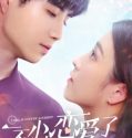 Drama China I Fell in Love By Accident 2020 TAMAT