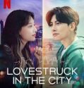 Drama Korea Lovestruck in the City 2020 TAMAT