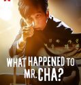 Film Korea What Happened to Mr Cha